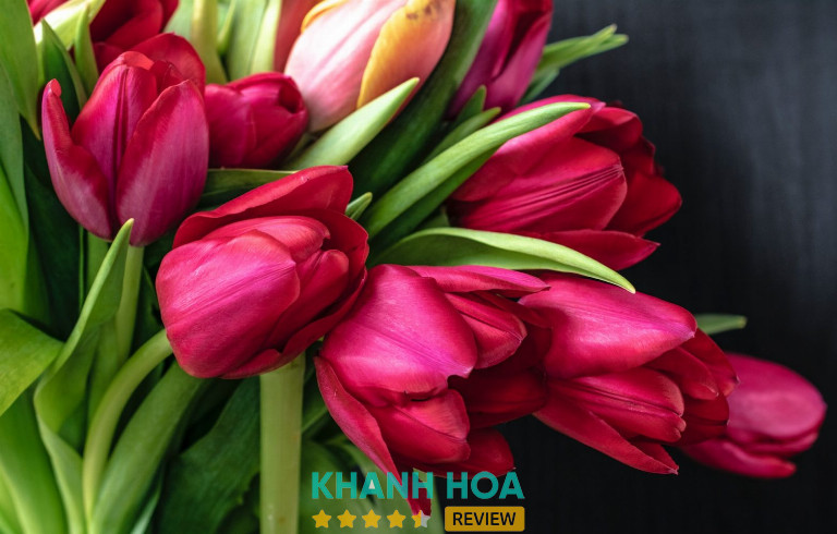 Lựa chọn shop có phong cách thiết kế phù hợp