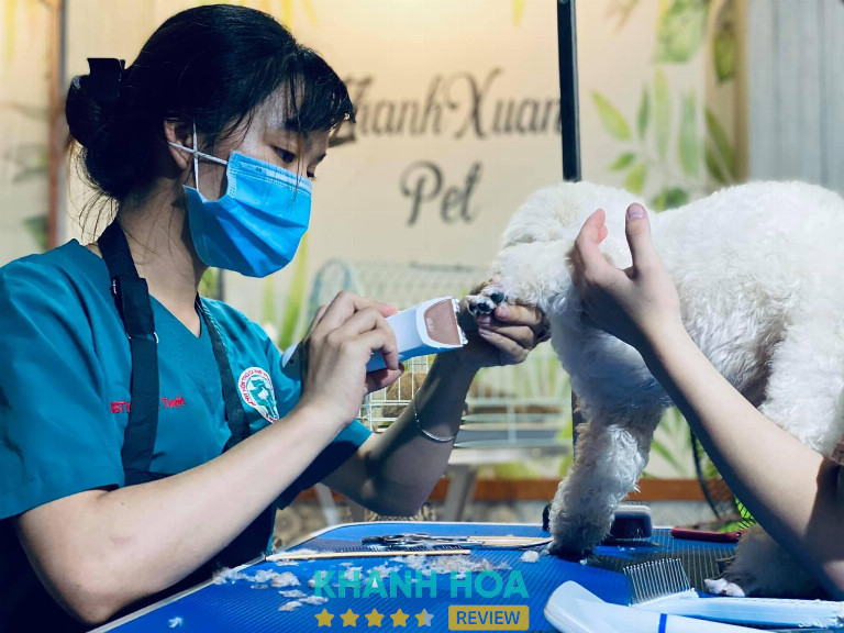 Thanhxuanpet, Nha Trang