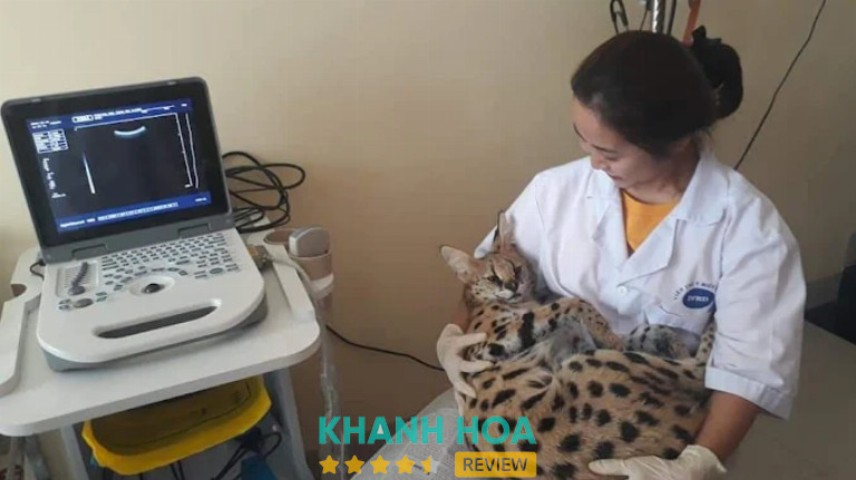 Bệnh viện Thú y Nha trang - Nha trang Vet Hospital, Nha Trang