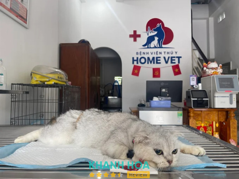 Home Vet Services, Nha Trang