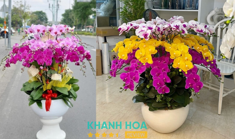 Shop Hoa Thanh Nhã, Nha Trang