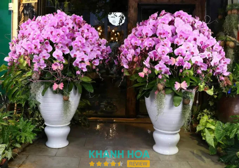 Shop Hoa Tươi Hồng Nhung, Nha Trang