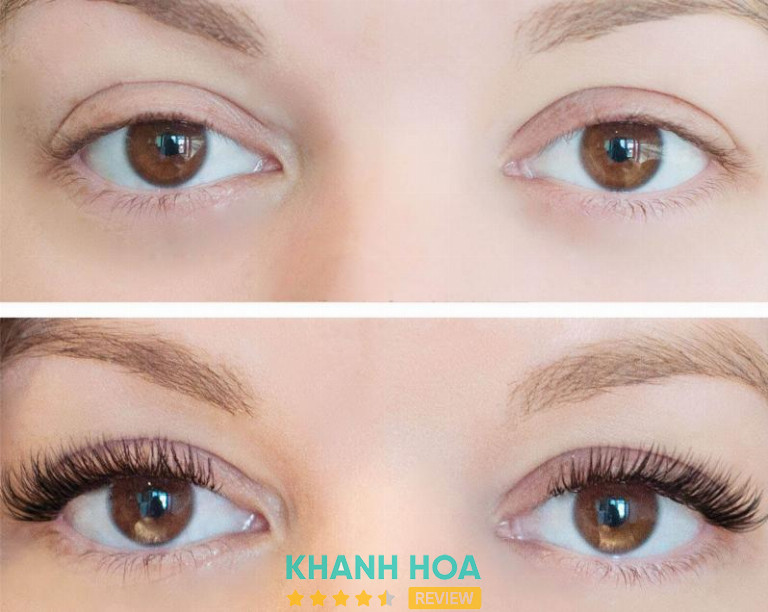 Hồng Eyelash, Phan Rang