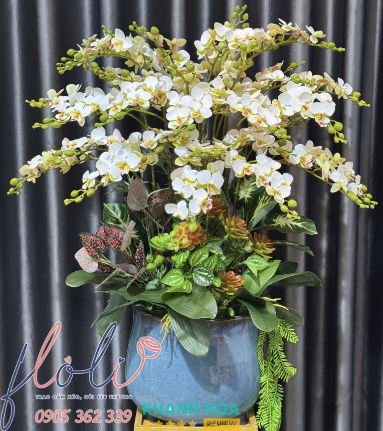 Các mẫu lan hồ điệp tại FLoLi
