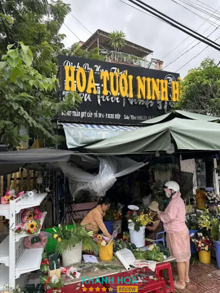 Shop Hoa Tươi Ninh Hòa - Ninh Hòa