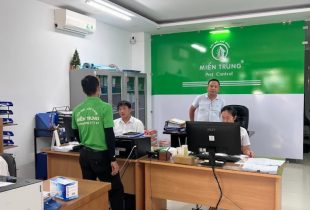 Bài đánh giá về Công ty Diệt Mối - Khử Trùng Miền Trung, Nha Trang, Khánh Hòa