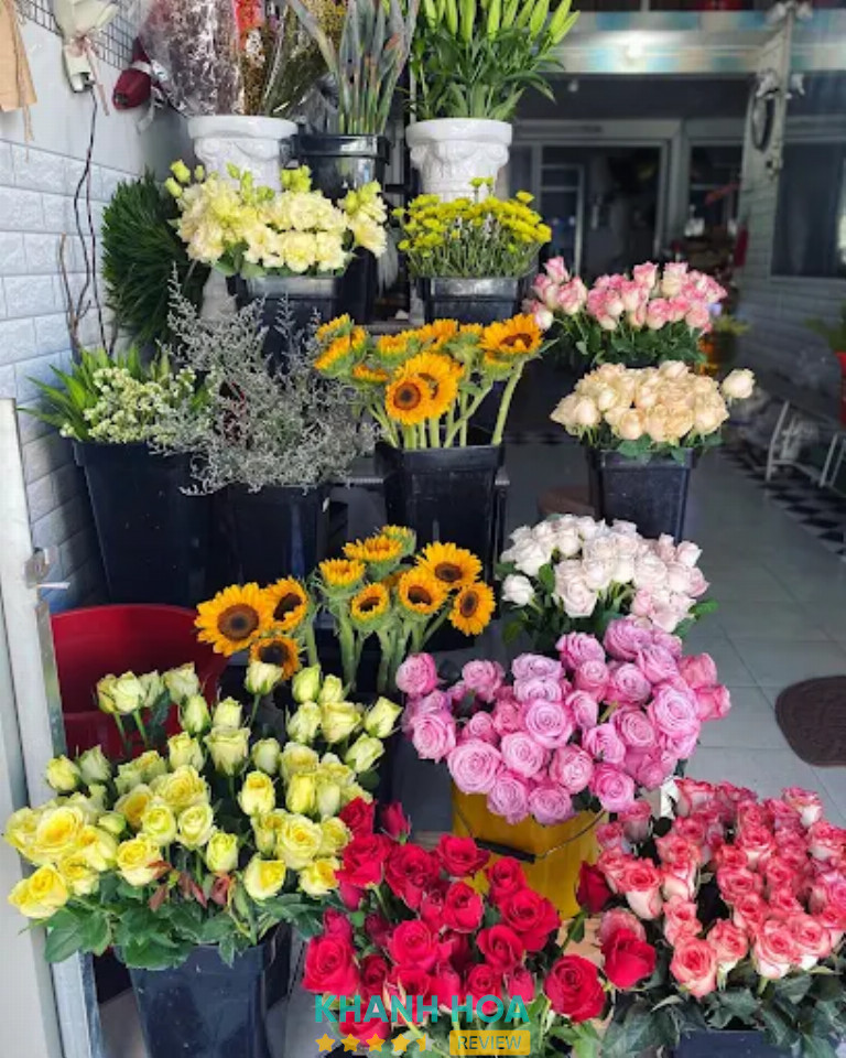 Shop Hoa Tươi SunFlower Vạn Ninh